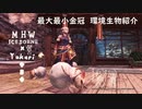 【MHWI】環境生物最大最小金冠紹介30ユキダマコガネ