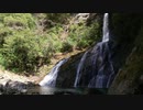 安居渓谷 飛龍の滝