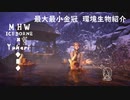 【MHWI】環境生物最大最小金冠紹介32キンセンザル