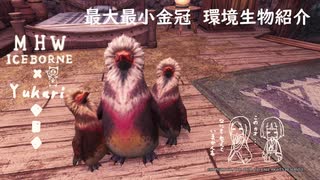 【MHWI】環境生物最大最小金冠紹介34キブクレペンギン