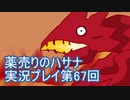 絶対弟を助けるぞ！　薬売りのハサナ実況プレイ第67回