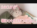 【圧倒的的可愛さ注意】とんでもないモンを衝動買いしてしまいました。