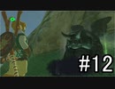 世界を冒険するべく「ゼルダの伝説 ブレスオブザワイルド」実況　part12