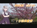 【1分弱車載祭】バイクに乗ってちょっとそこまで　番外【佐布里池　梅まつり】