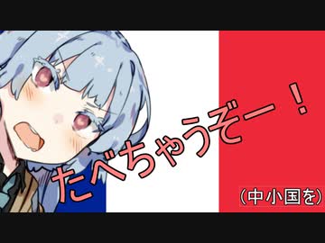 葵ちゃんと見るフランス軍解説③