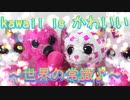 kawaii is かわいい～世界の常識♪～