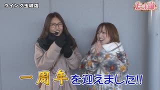 たま嵐　第37話(1/3)