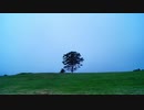 僕たち / 初音ミク