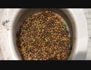 シリアルをトイレに流してみた８