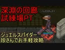 【RO】試練場ジュエルスパイダー【おまけ付き】