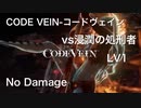 CODE VEIN-コードヴェイン vs浸潤の処刑者　LV1 同行者有り　No Damage ムービー有り
