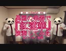 ●～●異国の楽器で『紅蓮華』演奏してみた+演奏手元動画●～●