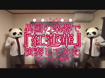 ●～●異国の楽器で『紅蓮華』演奏してみた+演奏手元動画●～●