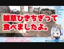 【天音かなた】雑草を食べた時のおはなし