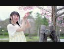 【淡咲みゆう】ハルイチ。【踊ってみた】