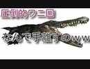 (2017年録画)バイオ５コープＲさんと！part11