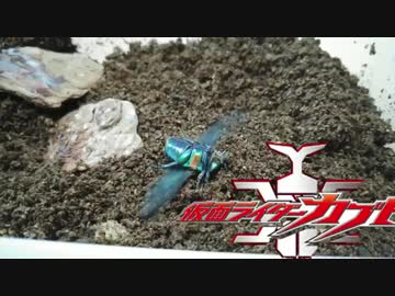 ホ　モ　と　見　る　無　限　に　飛　び　続　け　る　カ　ブ　ト