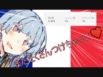 葵ちゃんと見るフランス軍解説④