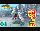 【実況】力こそ正義なポケモン救助隊【ポケモン不思議のダンジョン 救助隊DX】3階