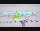 流氷を見に行ってきましたのでレポ動画のような物を