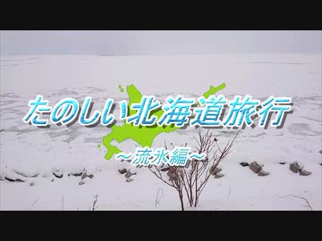 流氷を見に行ってきましたのでレポ動画のような物を