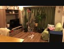 【三遊亭楽天】落語家がムーンウォークをレクチャーしてみた【踊ってみた】