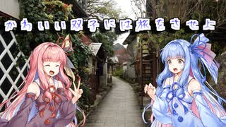 【VOICEROID旅行】かわいい双子には旅をさせよ