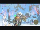 あおきずブレワイ＿ライネルをしばく