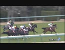 競馬　チューリップ賞　2020年