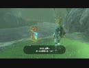 【Switch】リンクの記憶なしで成り行き旅【プレイ動画】part36