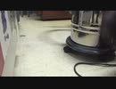 【癒し】子猫の脱走！！