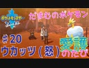 【実況】だまむのポケモン愛護のたび＃２０