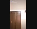 好きなTikTokまとめ　（自己満）