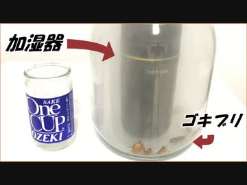 「加湿器」で気化したお酒をゴキブリに吸わせたら、驚異的な結果になった。