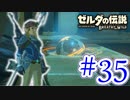 【ゼルダの伝説ブレスオブザワイルド実況】3Dで広大な世界を自由に走り回れる楽しさをおすそ分け！？part35