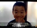 のまさんち「シマいリスの朝ごはん！米ぬか入りホットケーキ♪」