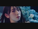 青春の馬（メンバー解説付）