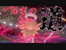 【ポケモン剣盾】沈まぬ殻と探求の道
