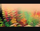 ネレイア ～after the sunset～ - つる