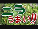 息子大絶賛！にらレシピ！！【嫌がる娘に無理やり弁当を持たせてみた息子編】
