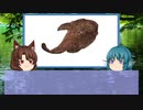 【ゆっくり解説】ゆっくりわかさぎ姫が教える魚　#19匹目　~鮟鱇~