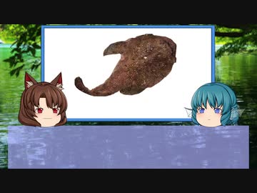 【ゆっくり解説】ゆっくりわかさぎ姫が教える魚　#19匹目　~鮟鱇~