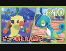 ごっつ獣とええ感じ【先輩後輩のポケットモンスターソード実況】#10