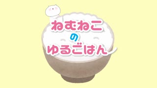 【ゆるごはん】鶏肉のみそマヨ炒め【作ってみた】