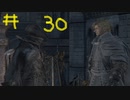 【Bloodborne】フロムゲー初心者のブラッドボーンpart30【実況プレイ】