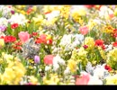 続・好きな音楽テーマ別うｐ・K曲編