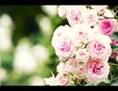 続・好きな音楽テーマ別うｐ・R曲編