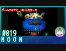 【実況】なんて不思議なゲームなんだろう #19【moon】