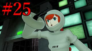 P5S #25 ソフィアの謎を明らかにすべく我々はジェイルの奥地へ向かった。