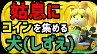 姑息にコインを集める犬、それがしずえ!!【マリオカート８DX】【実況】